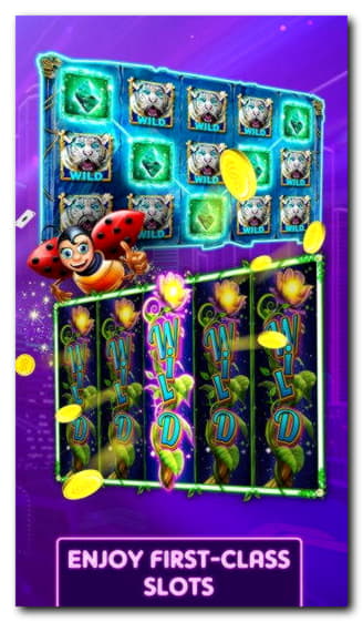 100 rotiri gratuite la Spin Palace Casino